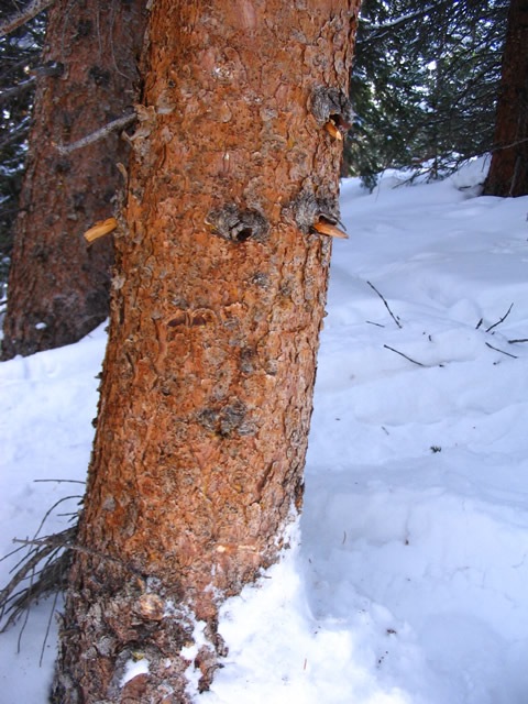 IMG_0076